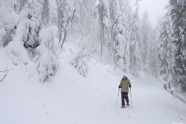 Aussichtsreiche Schneeschuhtour im Jura