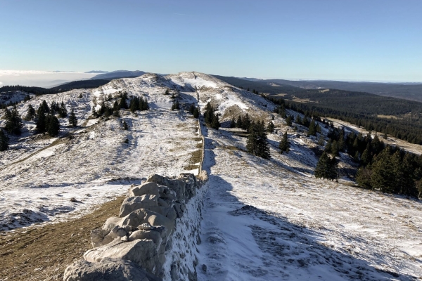 Sur le Mont Tendre dans le Parc Jura vaudois