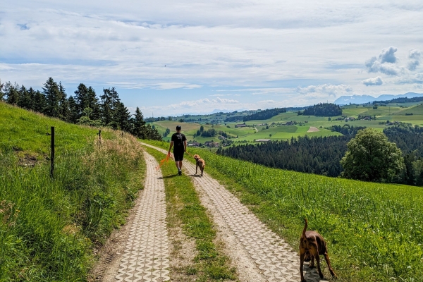 Agréable randonnée dans l’Emmental