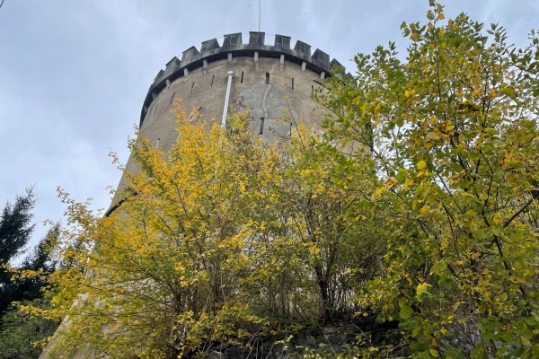 Feurige Herbstwanderung in Liechtenstein mit Aussicht aufs Rheintal