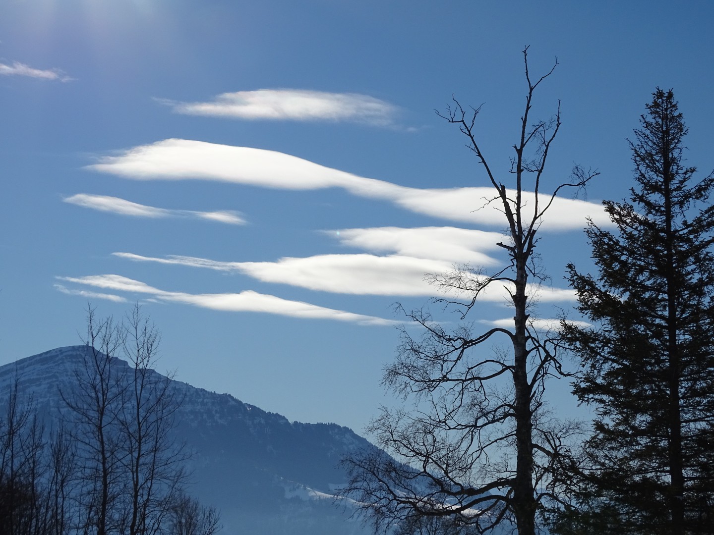 Altocumulus-lenticularis