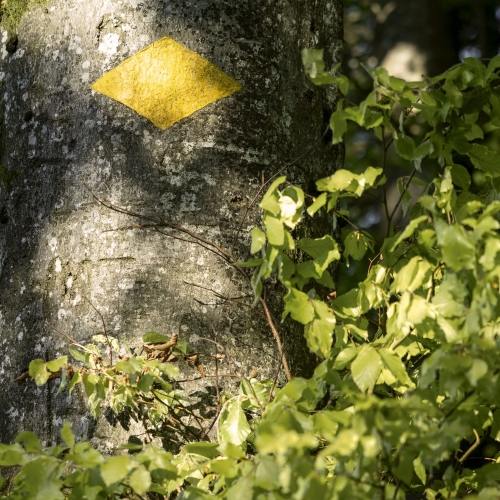 Bestätigung Wanderweg Rhombus