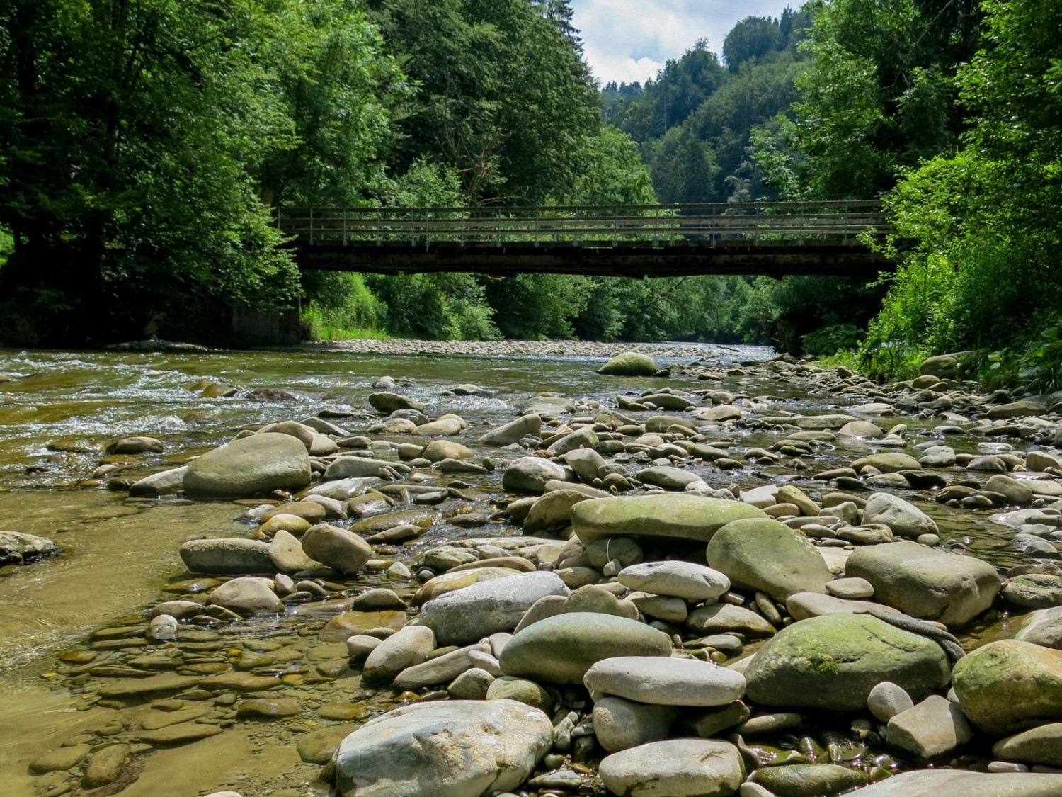 L’eau de la petite rivière n’est pas noire, au contraire, elle est claire et verdâtre. Photo: Marina Bolzli