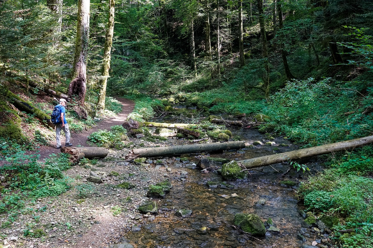 Wildromantisch führt der Pfad zwischen Ibach und Felsen durch das Chaltbrunnetal. Bilder: Fredy Joss