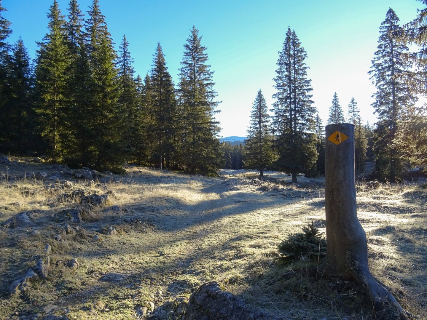 Lors de la randonnée, le Mont Tendre reste longtemps invisible.