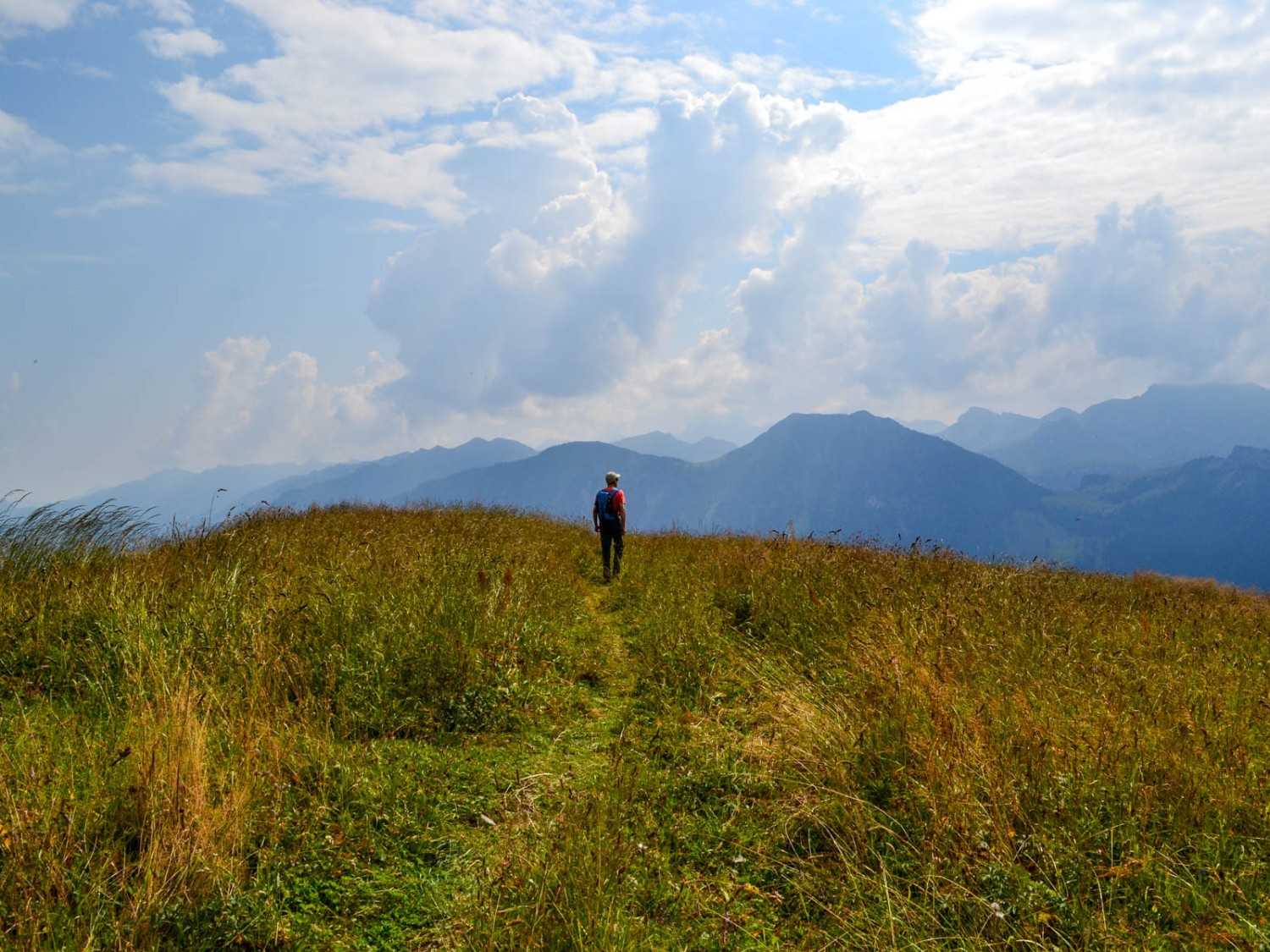 Auf der Dundelegg. Bild: Sabine Joss