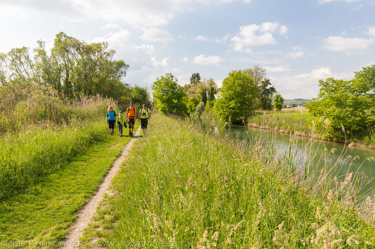 Im Habitat der Nachtigall, dem Canal de Huningue. Bild: Iris Kürschner