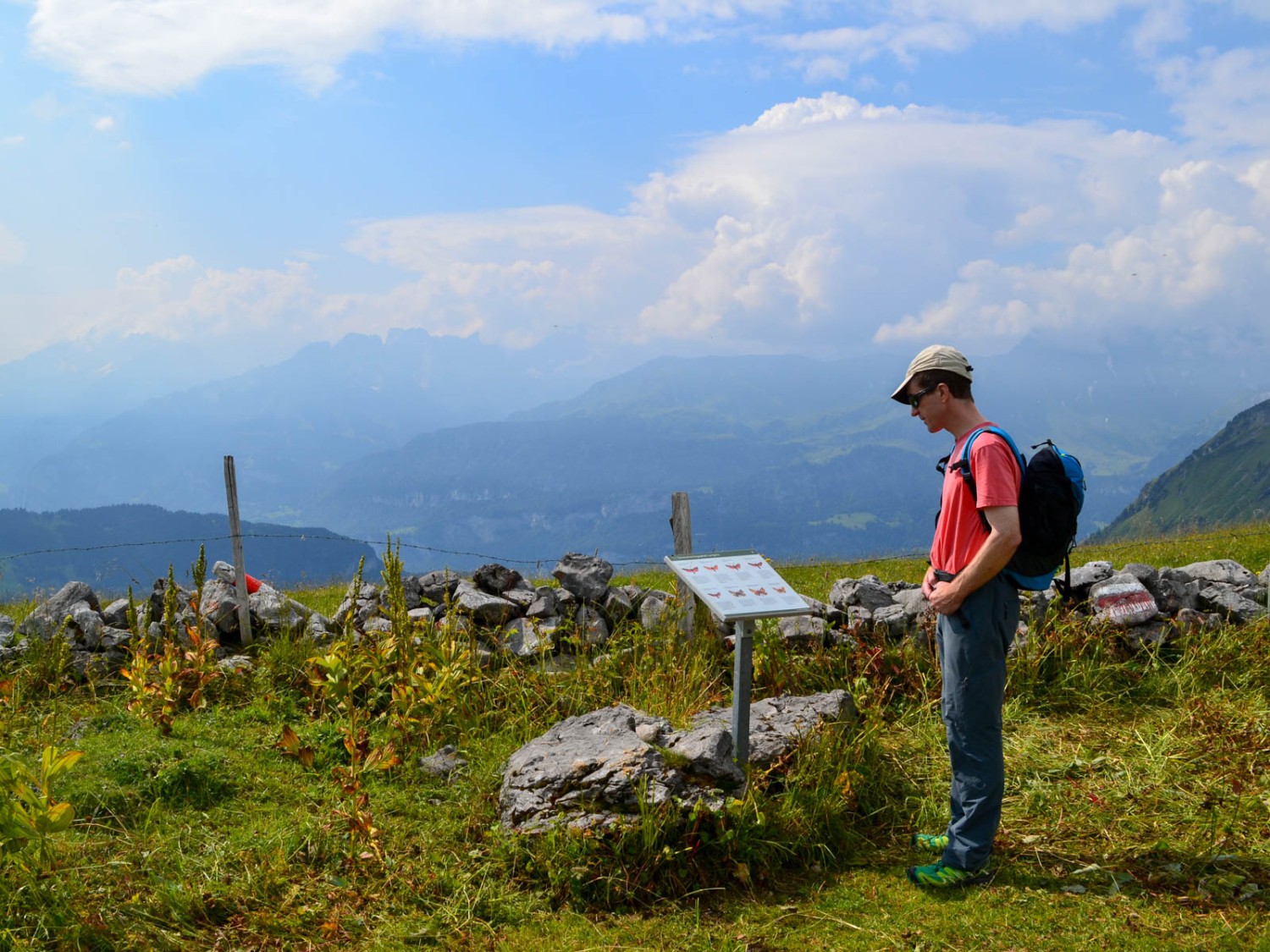 Infotafel auf dem Schmetterlingspfad. Bild: Sabine Joss