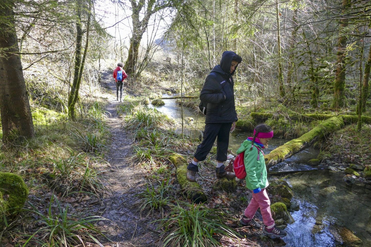 Wildnis pur: ein kleiner Bach, der parallel zur Simme fliesst. Bild: Kim Bütikofer