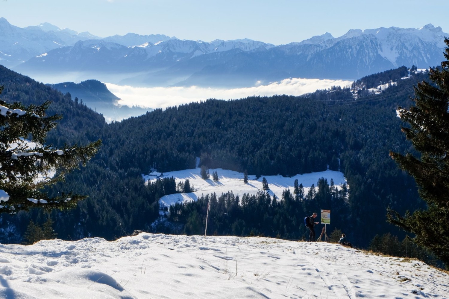 Blick auf den Chablais und die Walliser Berge mit dem Mont-Blanc weit hinten.