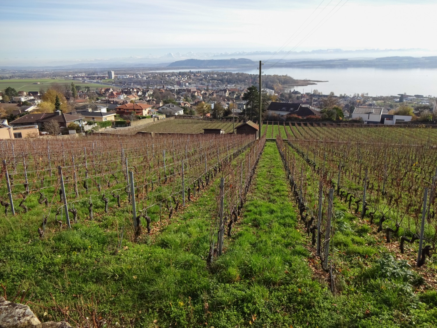 La vue s’étend sur Saint-Blaise et ses vignes. Photo: Miroslaw Halaba