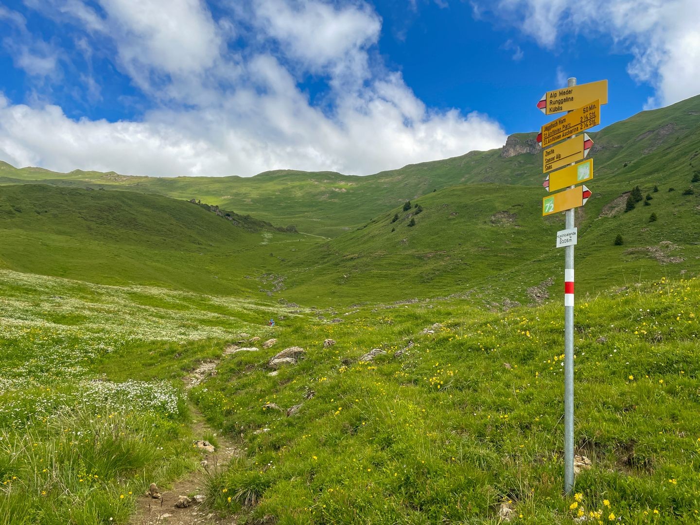 L’ascension jusqu’au Jägglisch Hora traverse des alpages légèrement vallonnés.