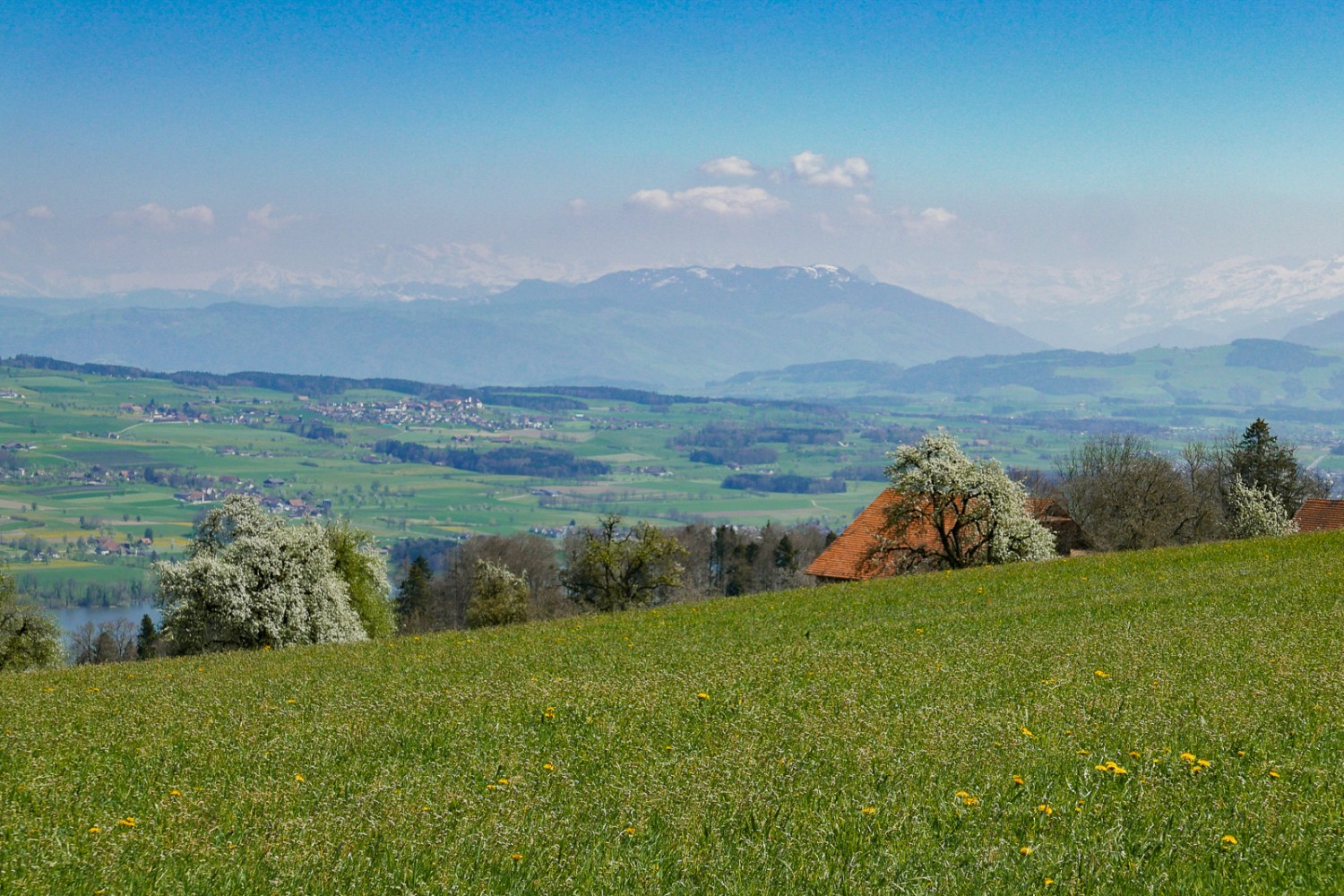 De la chaîne de collines des Erlosen, vue sur le lac de Baldegg et les Alpes. Photo: Susanne Frauenfelder