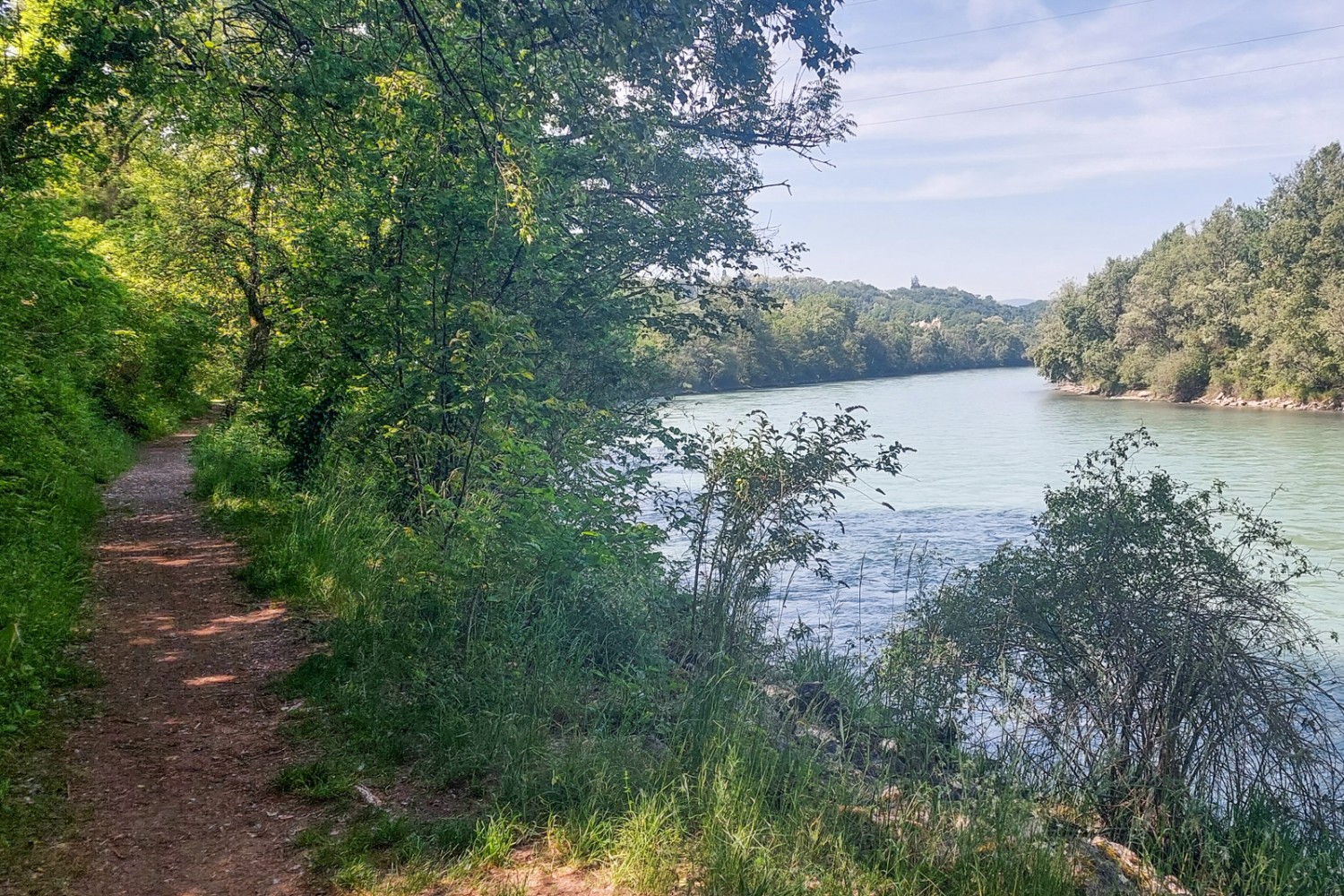 Das Naturschutzgebiet Teppes de Verbois liegt unmittelbar an der Rhone. Bild: Tatjana Häuselmann