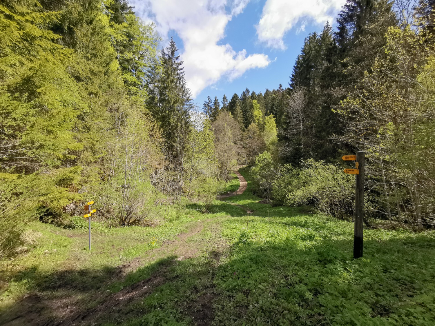 Wer kurz vor Einstieg in die Tabeillon-Schlucht tatsächlich genug vom Wandern hat, kann hier auf den Zug gehen. Bild: Evelyne Zaugg