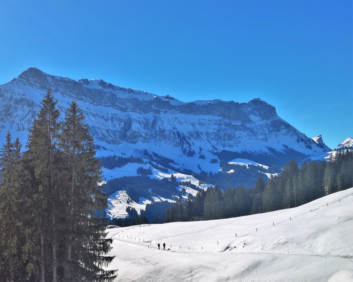 Im Abstieg nach Bumbach, im Hintergrund der Hohgant. Bild: Andreas Staeger