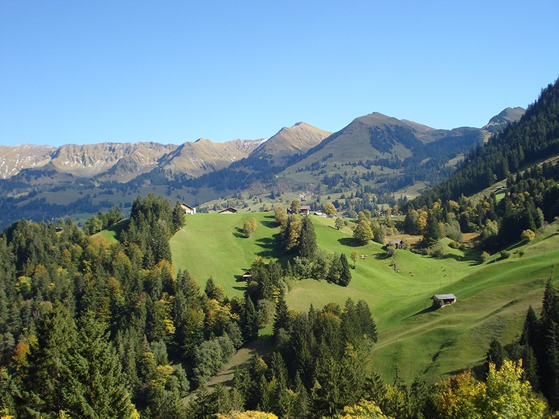 Im Abstieg zum Riedli fällt der Blick auf Entschwil im Diemtigtal.