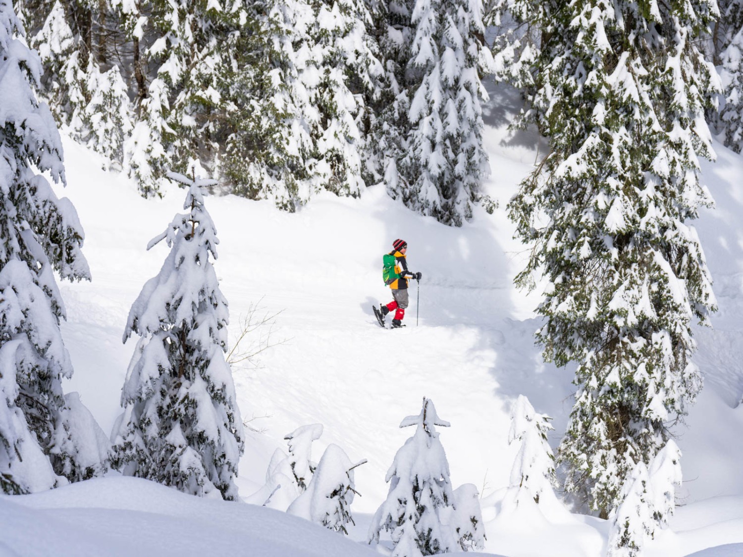 Encore un véritable conte de fées, avec le soleil en plus. Photo: Franz Ulrich