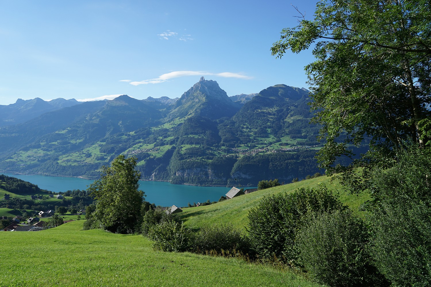 Le lac de Walenstadt et le Mürtschenstock depuis Amden.