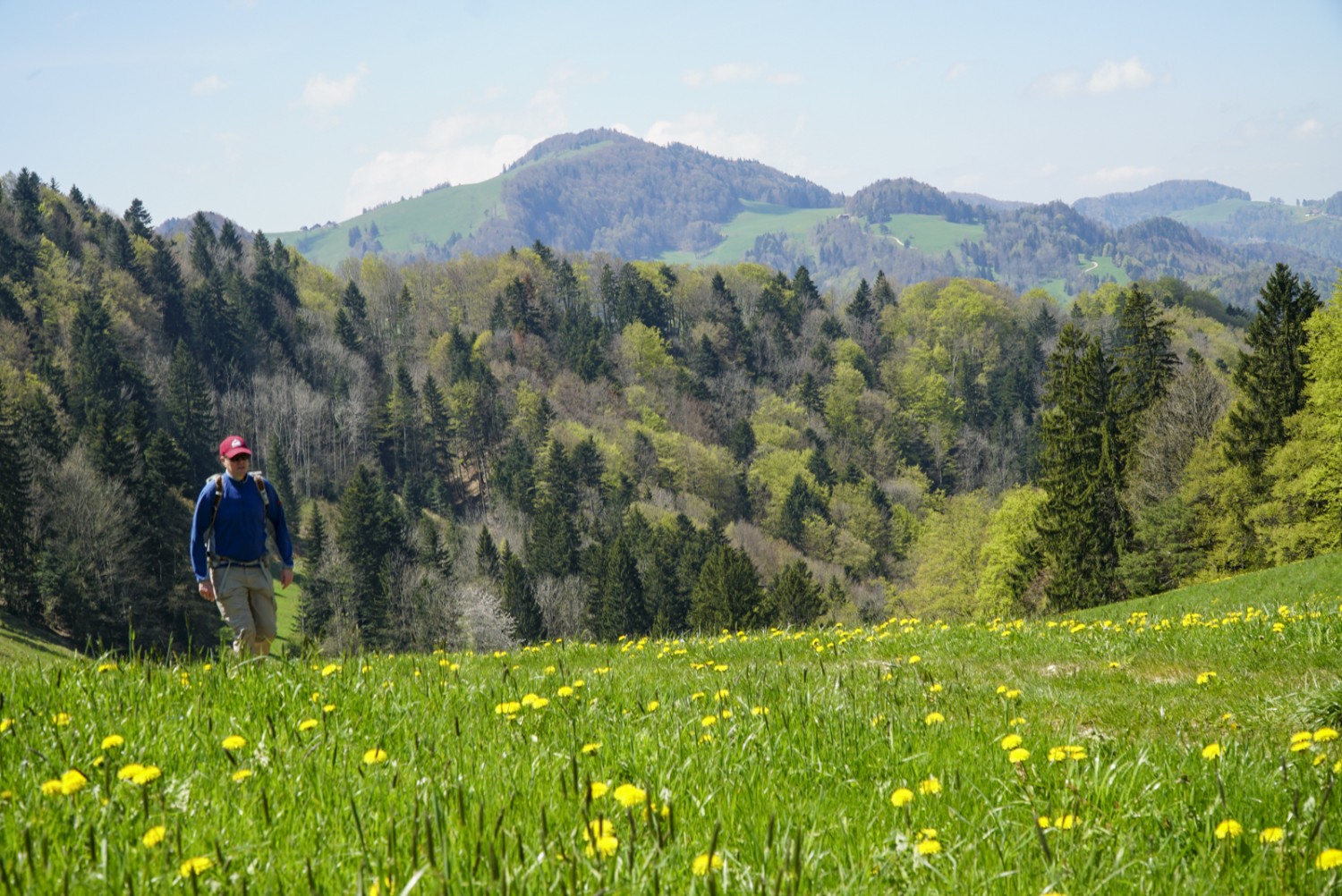 Lauschige Wegabschnitte führen durch die Blumenwiesen. Bild: Mia Hofmann