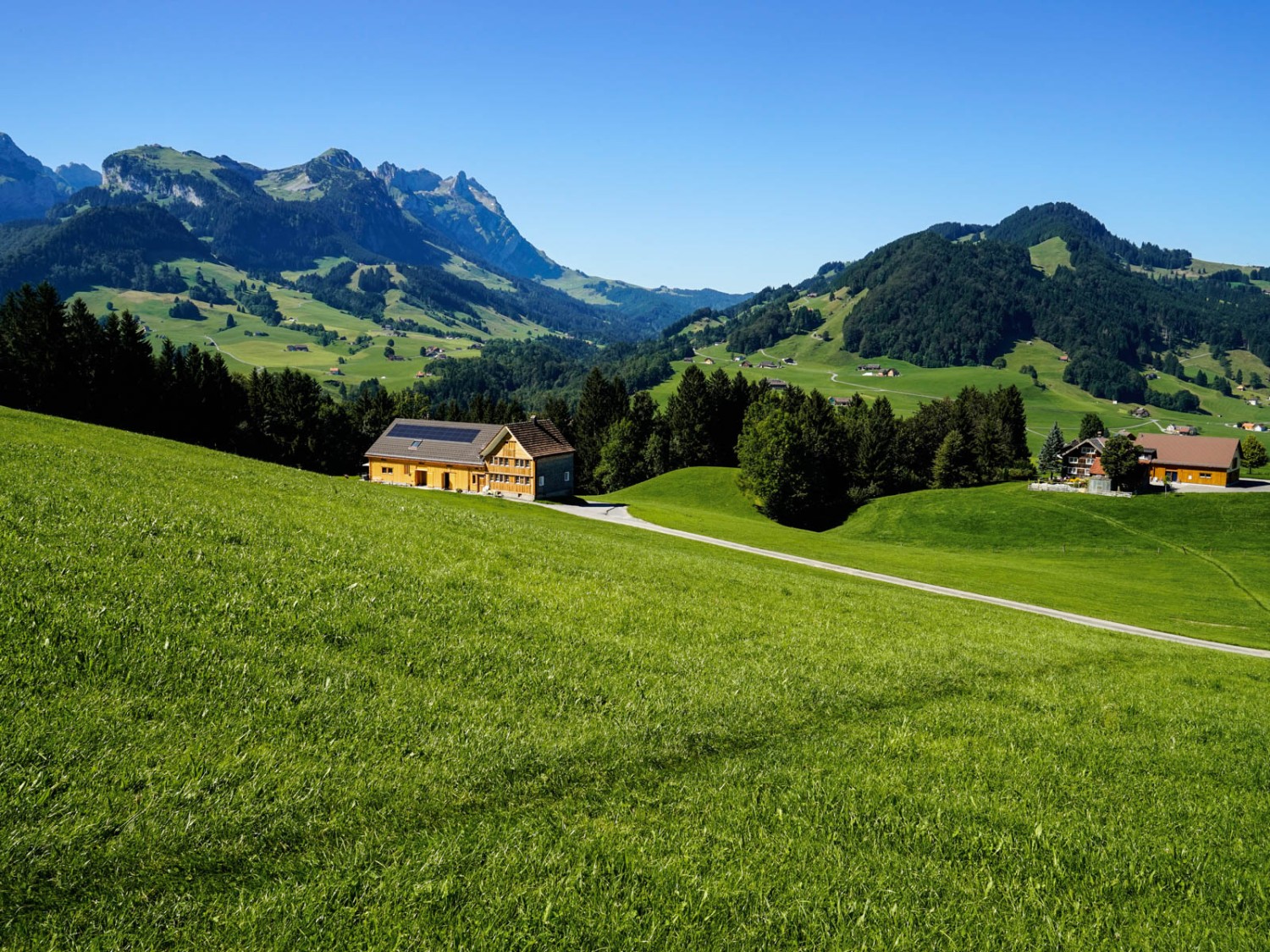 Ja, man darf über die Wiesen wandern. Wegweiser erlauben es, die Spuren verraten den Weg. Foto: Fredy Joss