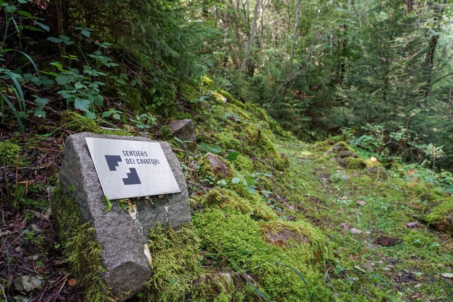 Der Sentiero dei Cavatori, der Steinhauerweg, führt durch den Guberwald hinunter an die Grosse Schlieren.