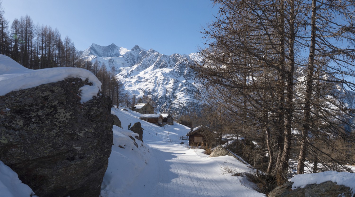 Der Weg bei der Triftalp. Bild: Heinz Staffelbach 