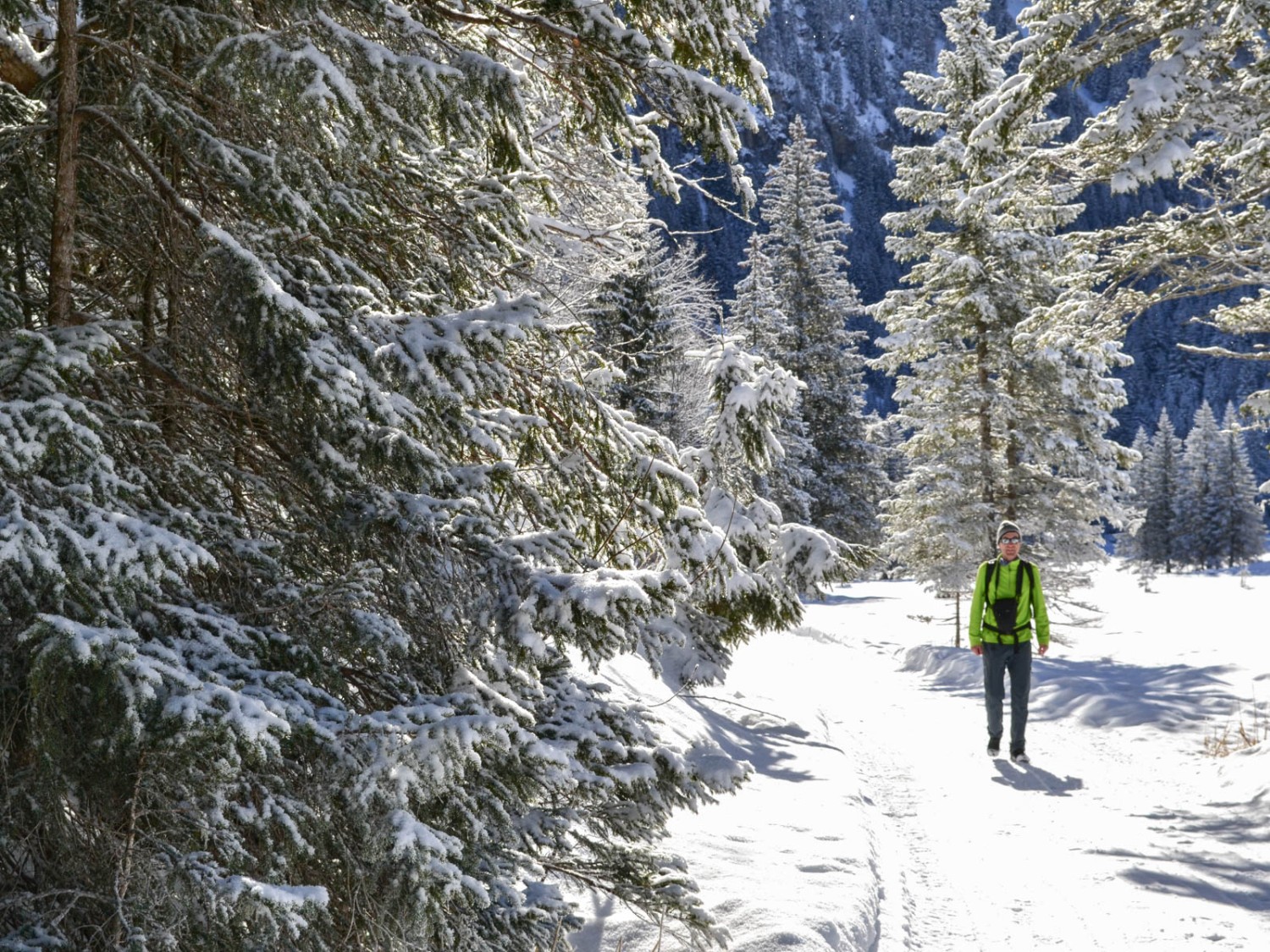 Im verschneiten Wald am Lauenensee. 