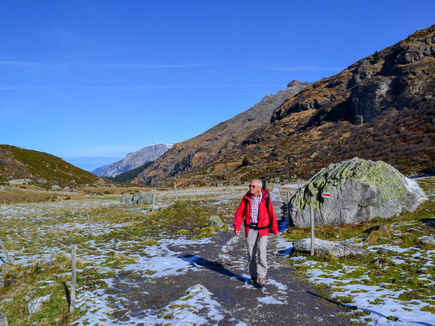 Auf der Niderenalp. Bild: Sabine Joss