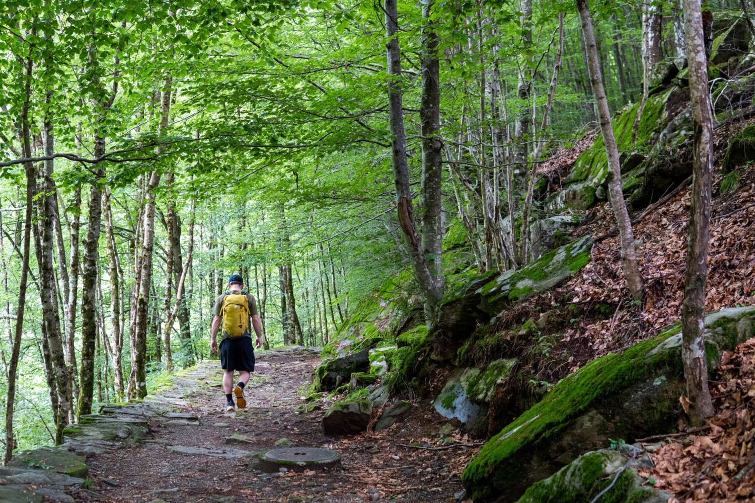 Il se peut que l’on ne rencontre personne sur ce parcours.