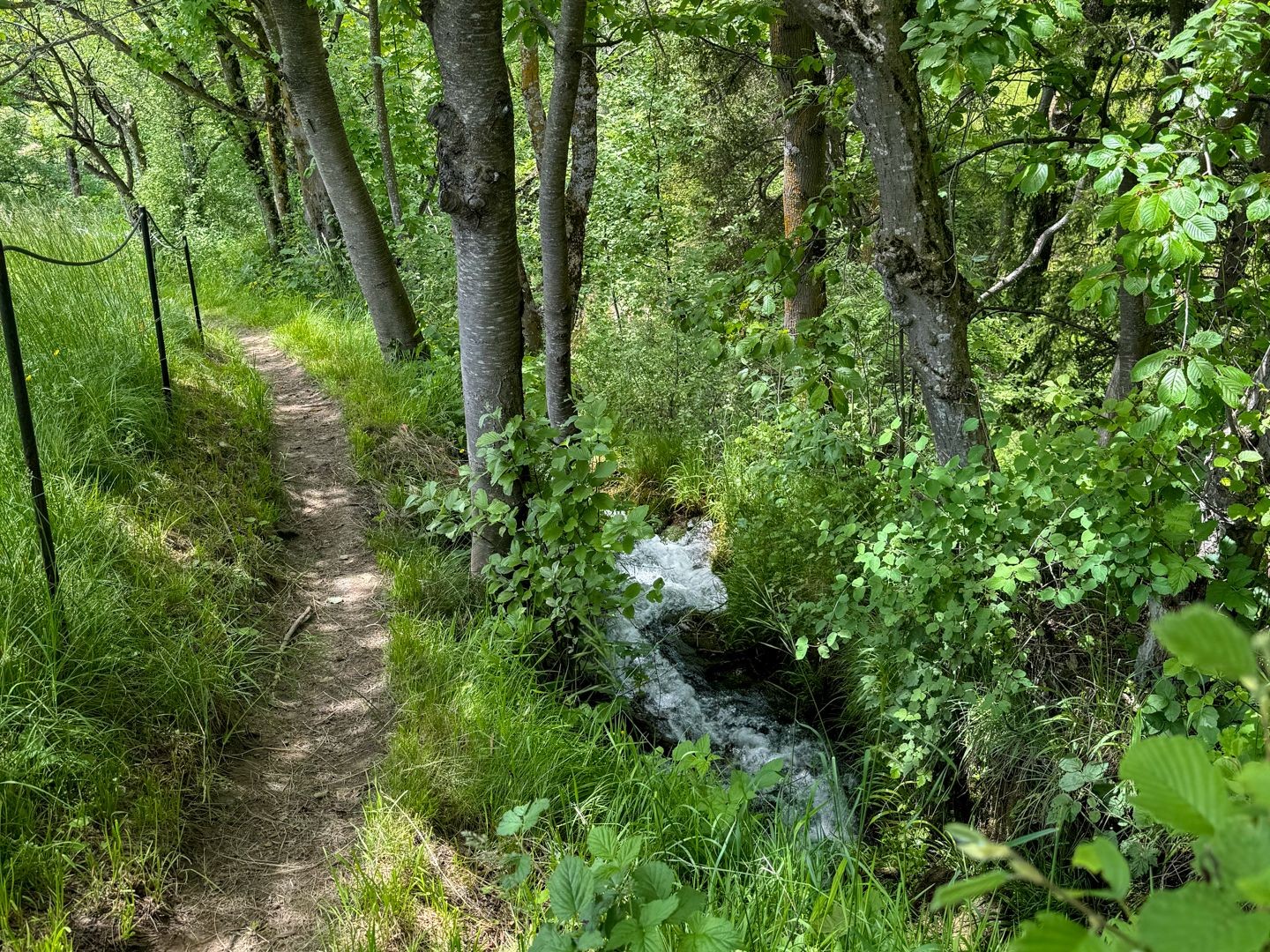 Le long d’un charmant ruisseau entre Mörel et Bitsch