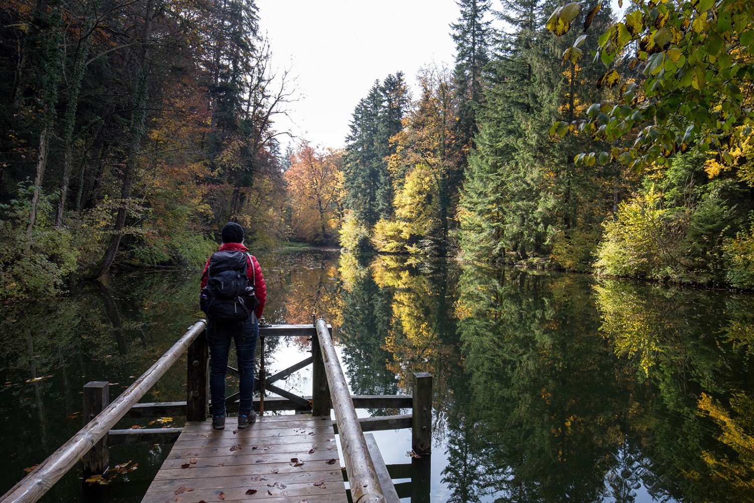 Peu avant Elgg, but de la randonnée, le chemin traverse le Farenbachtobel sur des ponts et des passerelles.