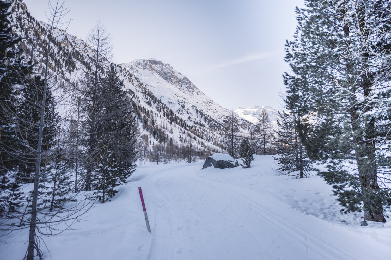 Le soleil va bientôt passer par-dessus le versant de gauche. Photo: Jon Guler