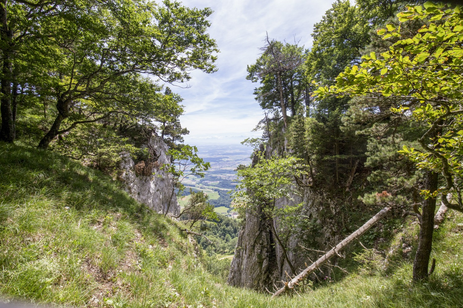 Ab und zu erhascht man in den Chambenflüe einen Tiefblick aufs Mittelland. Bild: Daniel Fleuti 