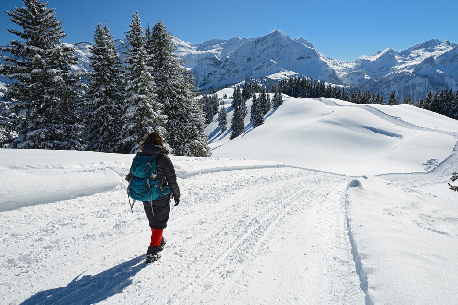 Die Walliser Wispile hat die Wanderin stets im Blick. Bilder: natur-welten.ch