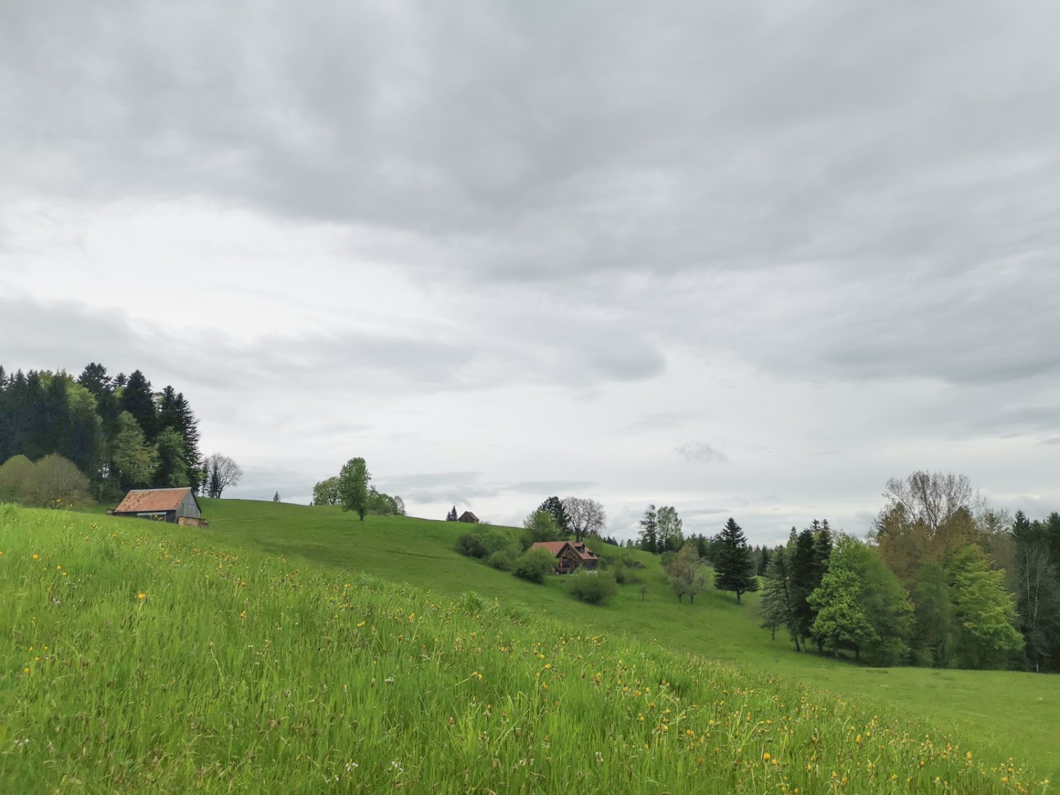 Collines, prairies et fermes dispersées. Photo: Evelyne Zaugg