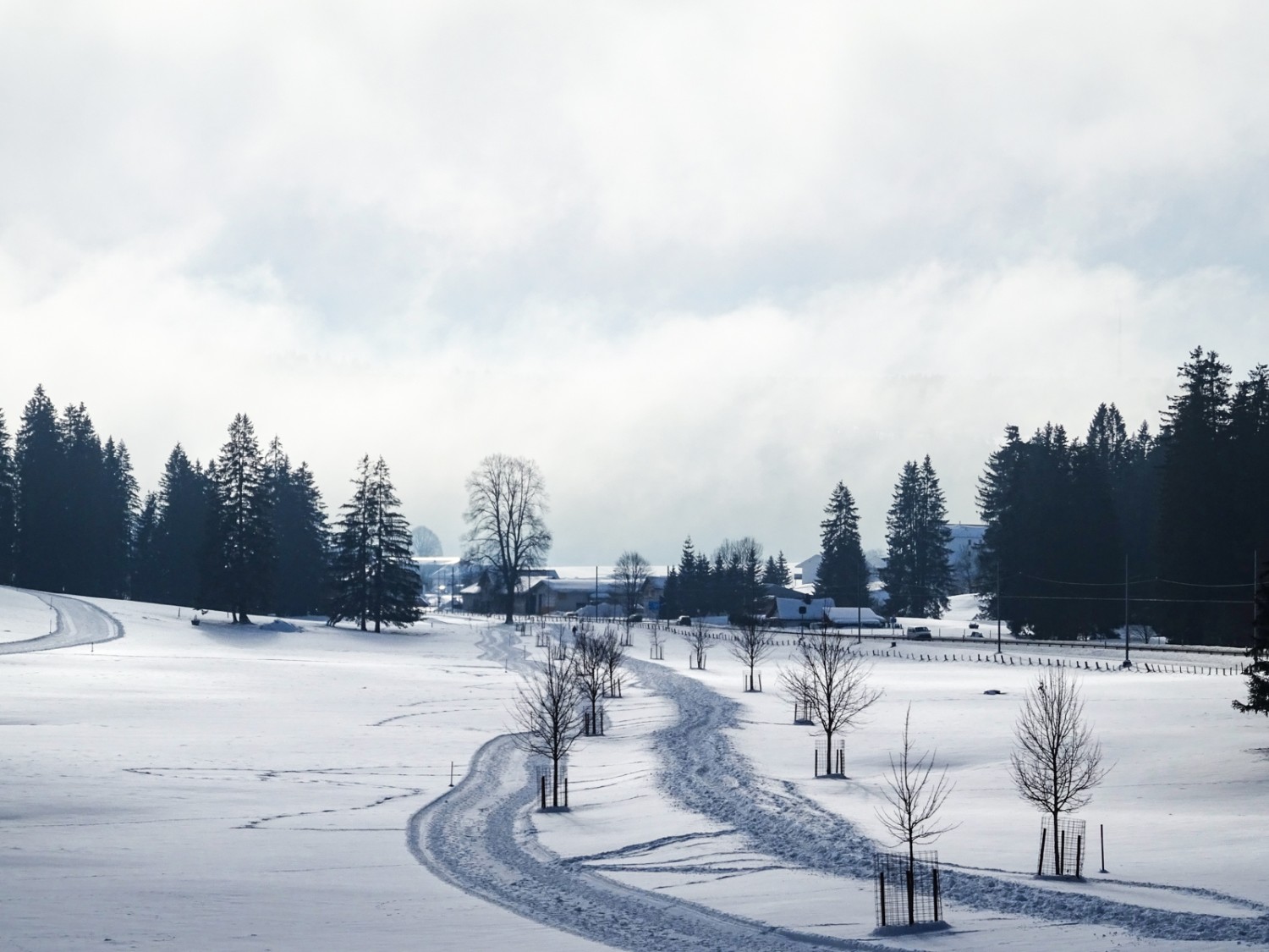 Zwischen Les Emibois und Muriaux. Bild: Sabine Joss