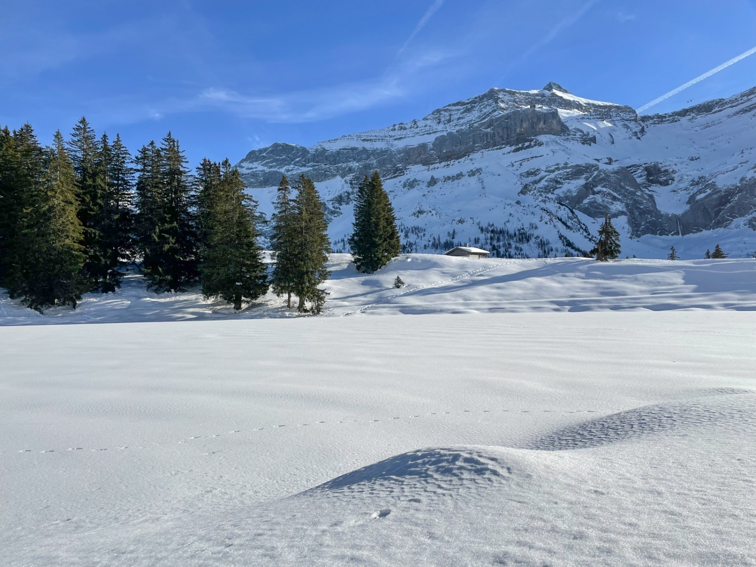 Vom Ufer des Lac Retaud hat man eine schöne Aussicht auf das Oldenhore. Bild: Rémy Kappeler