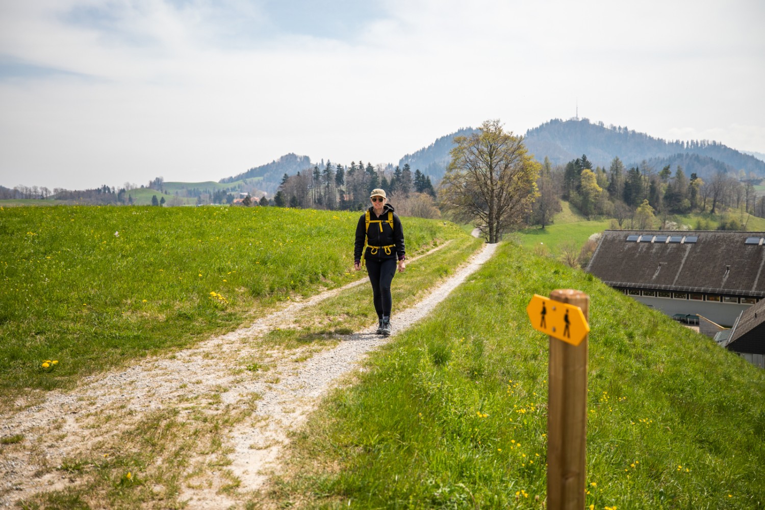 Später geht es wieder entlang von Wiesen. Im Hintergrund sieht man den Gipfel des Hörnli. Bild: Wanderblondies