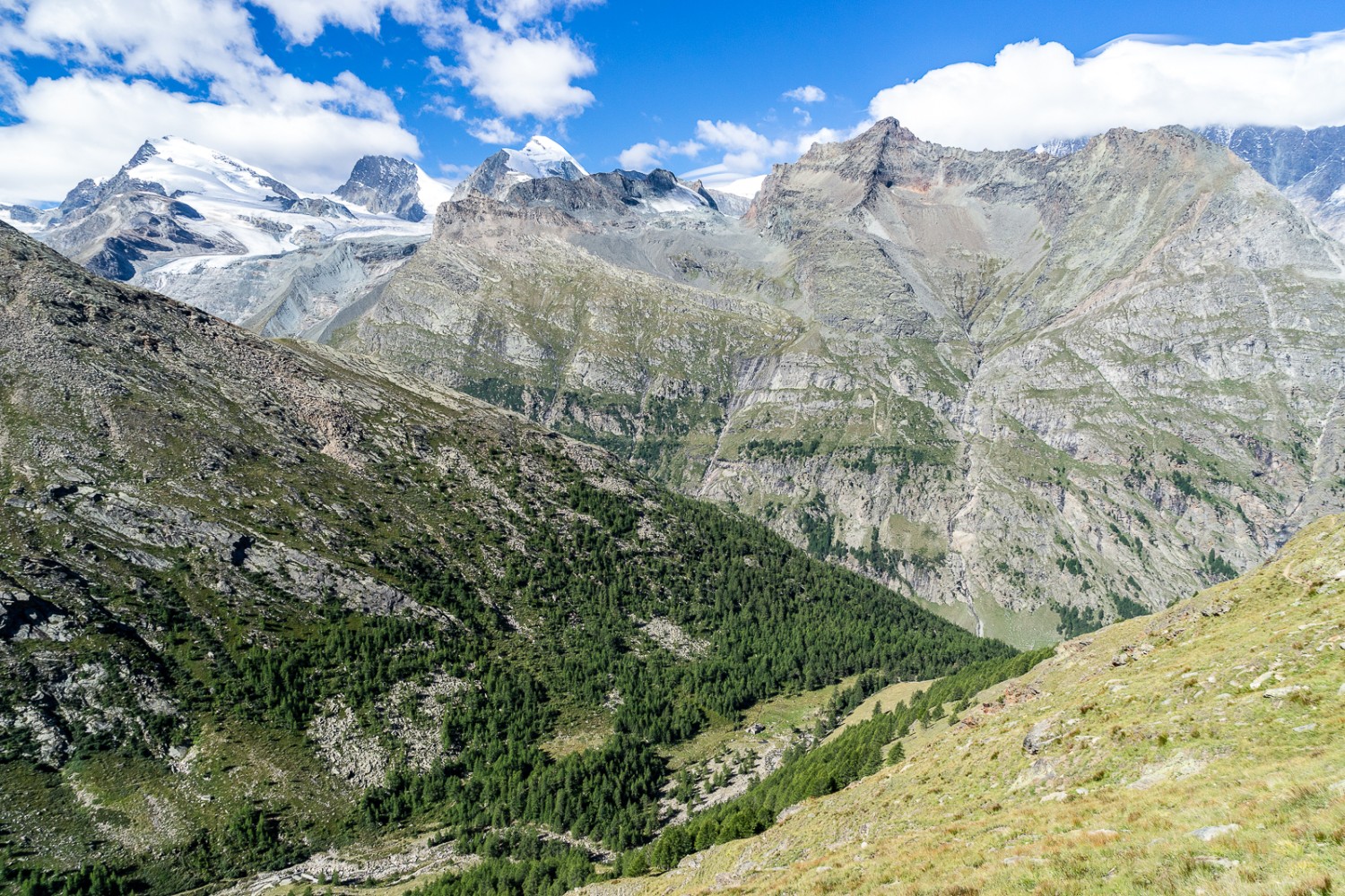 Vue depuis le Furggtälli sur les sommets de Saas-Fee: Strahlhorn, Rimpfischhorn, Allalinhorn, Egginer, Mittaghorn (de gauche à droite). Photo:  Fredy Joss