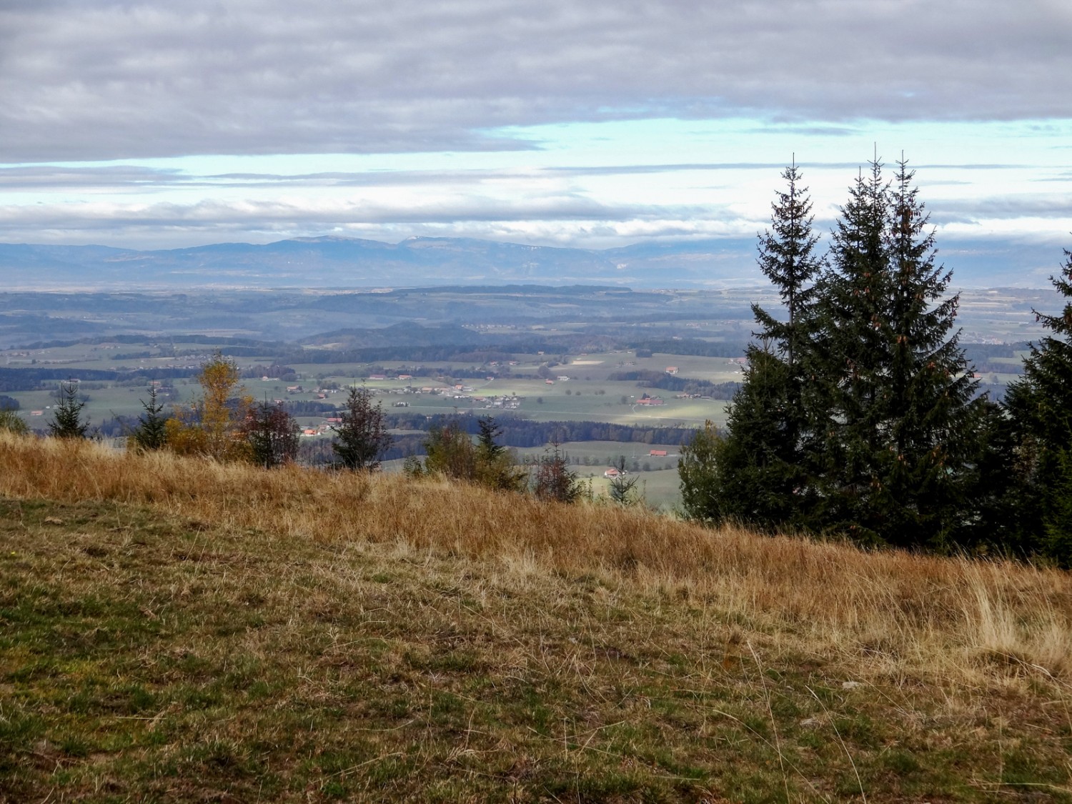 Grossartige Aussicht auf das Mittelland und die Jurakette. Bild: Miroslaw Halaba