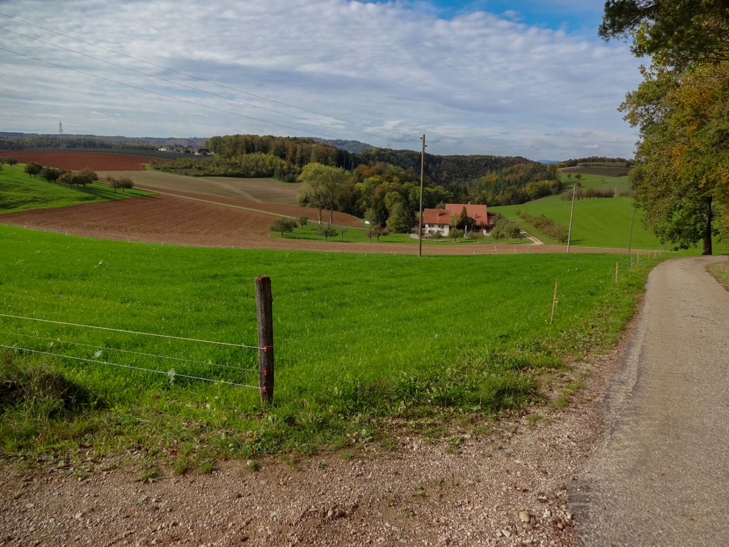 Peu avant Wölflinswil, à la sortie de la forêt, le paysage est agréablement vallonné.