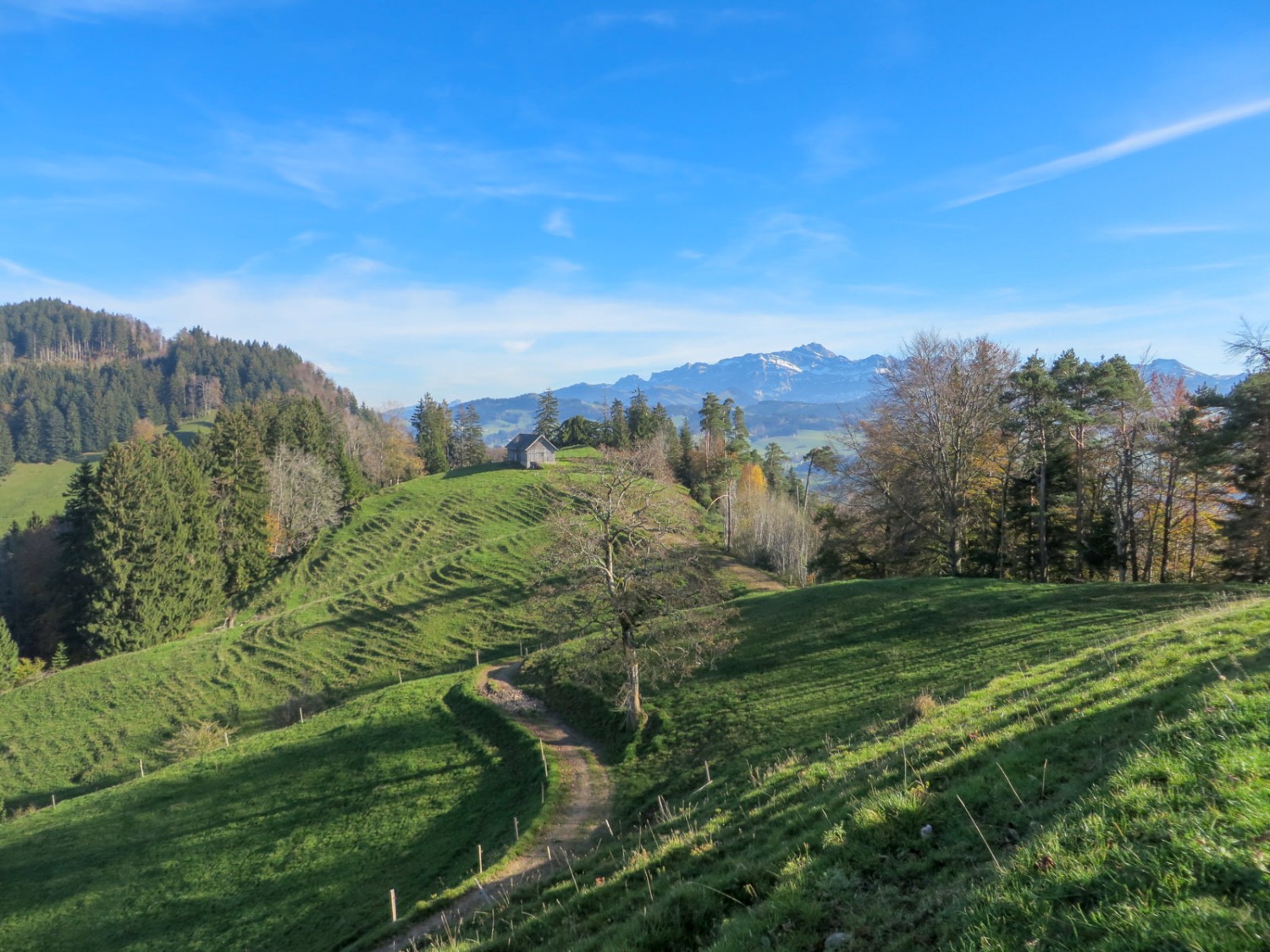 Blick zurück zum Säntis