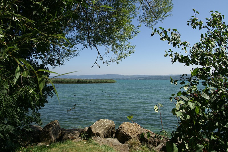 Vue sur le lac de Neuchâtel.