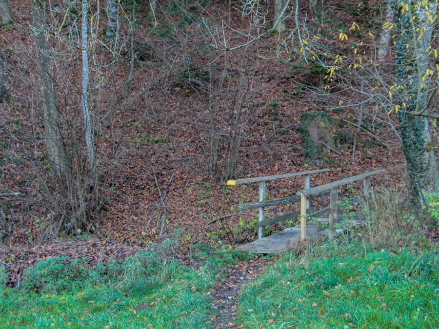 Le sol de l’étroit sentier, couvert de feuilles colorées, évoque une forêt enchantée. Photo: Alexandra Blatter