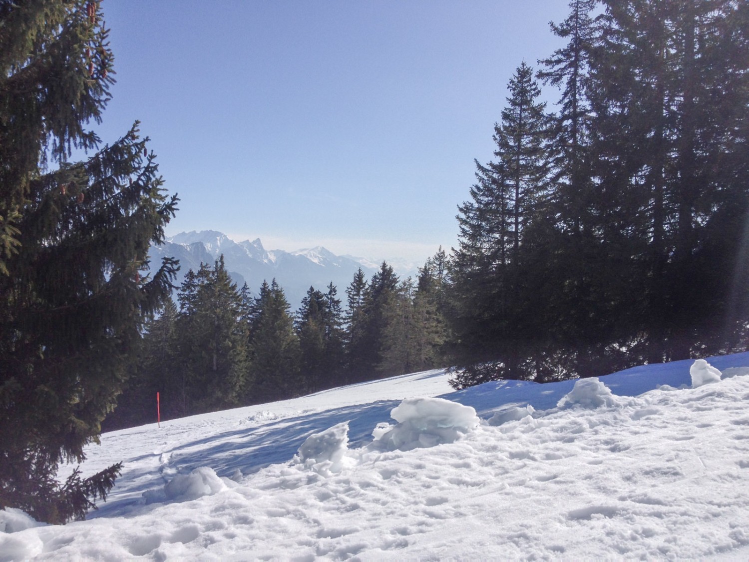 La forêt s’éclaircit par endroits, révélant le paysage alpin. Photo: Claudia Peter