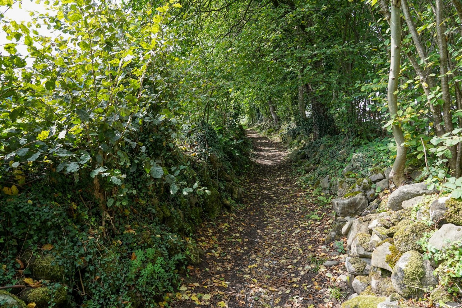 Der Hohlweg nach Alpnach.