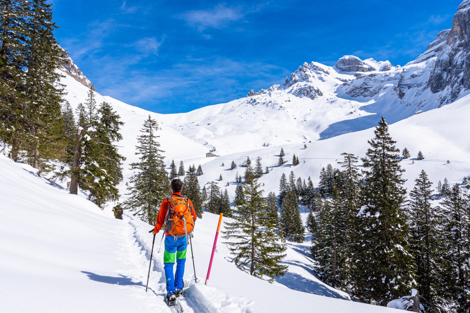 Le sentier monte ensuite légèrement vers Urnerstaffel. Photo: Franz Ulrich