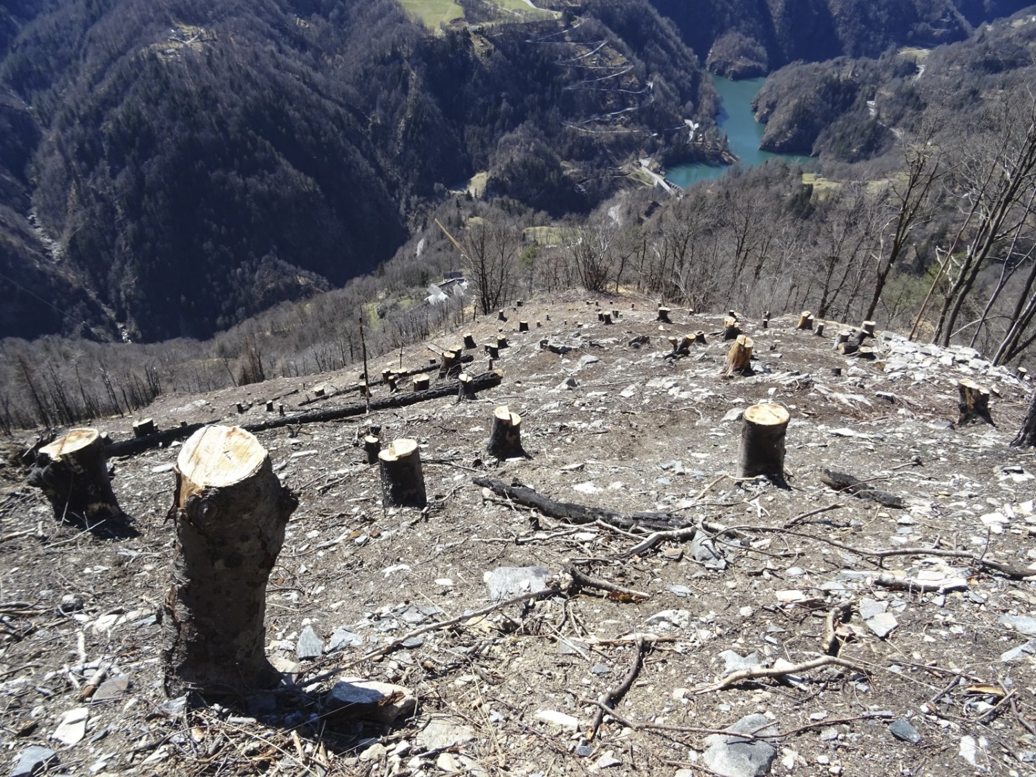 Ohne Bäume steigt die Steinschlaggefahr.