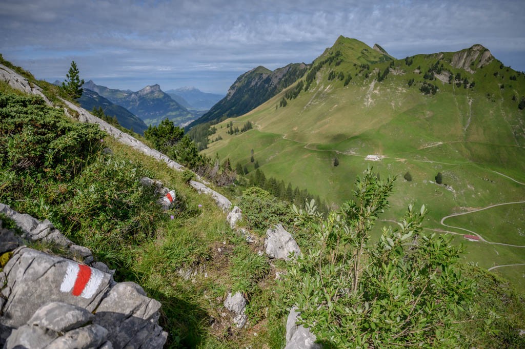 Zu Beginn ist man mehrheitlich auf derselben Höhe unterwegs. Bild: Jon Guler